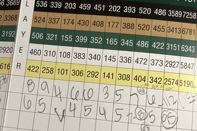 Golf Scoring: How It Works, Terms to Know, & Scores by Skill
