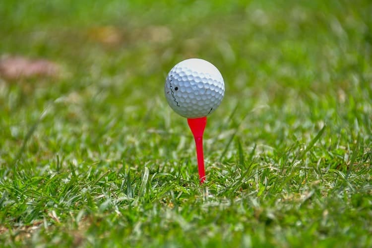 3 Best Golf Tees For Seniors In 2023