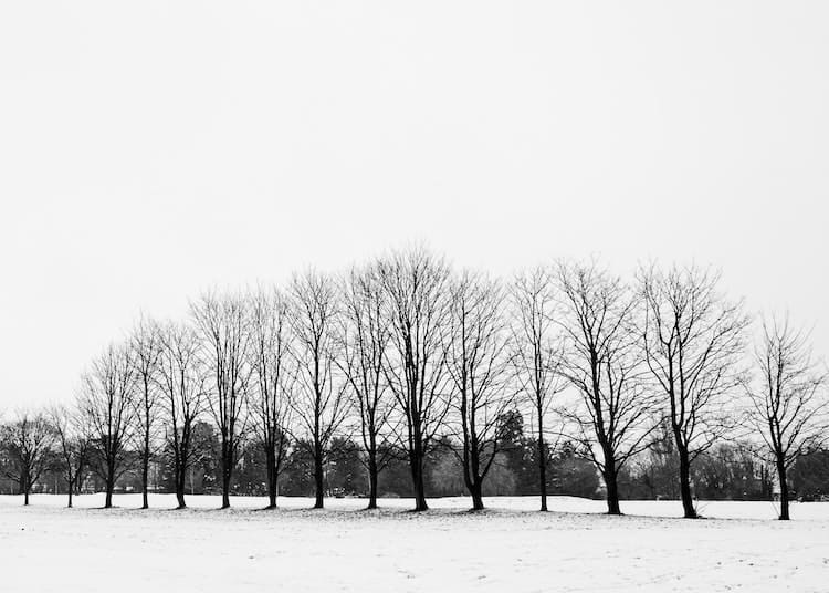 Are Golf Courses Open in The Winter?