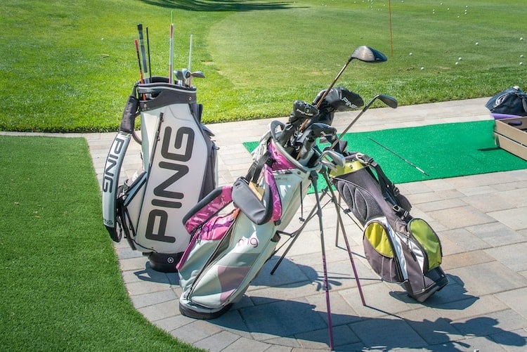 Cart Bag vs Stand Bag: Which One Is Best For You?