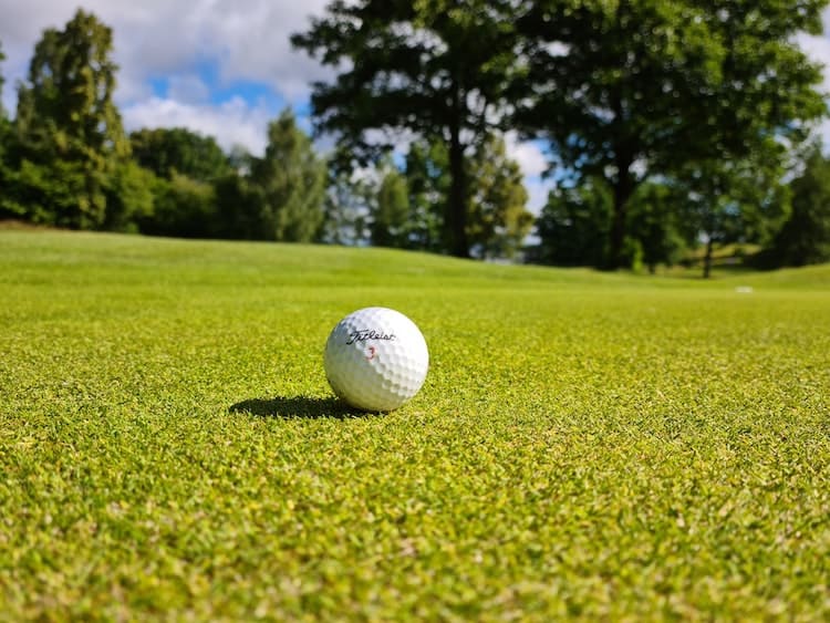 10 Best Golf Balls for Mid Handicappers: Top Picks for Distance & Control
